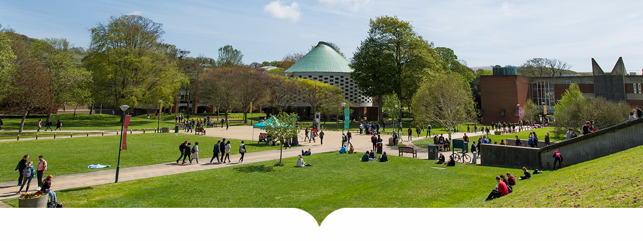 University of Sussex